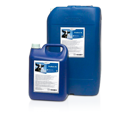 Farm-O-San Pro-Keto 20 L – Energieversorgung für Milchkühe